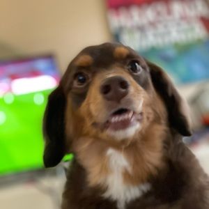 Meet your Posher, Manpreet